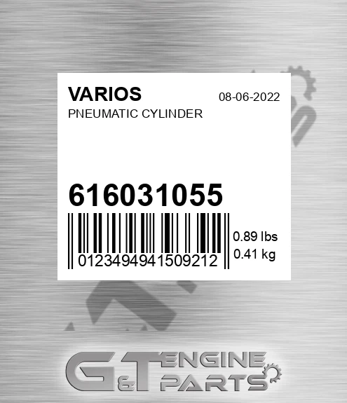 616031055 Pneumatic Cylinder for VARIOS