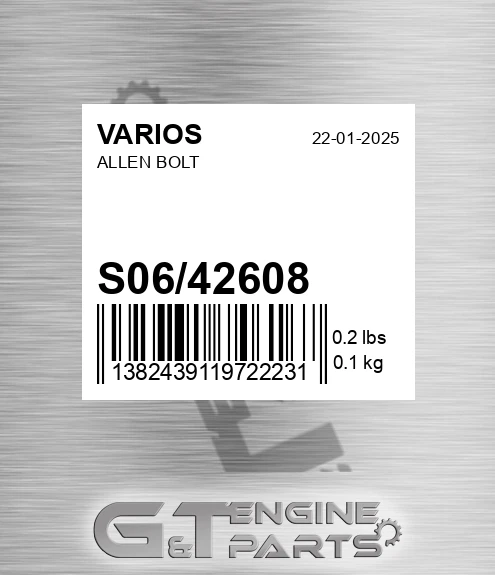 S06/42608 Allen Bolt
