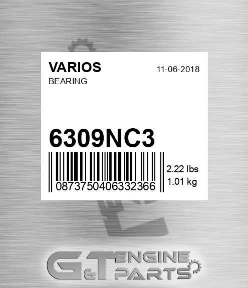6309N-C3 Bearing