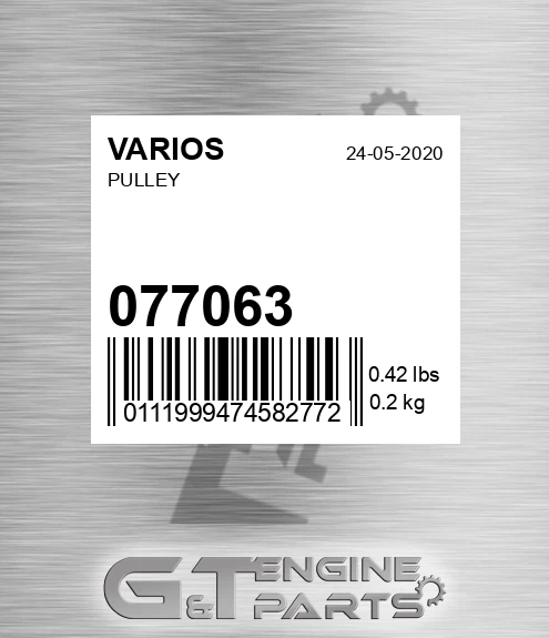077.063 Pulley for VARIOS