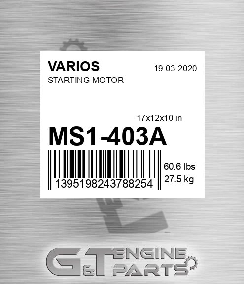 MS1-403A Starting Motor for VARIOS