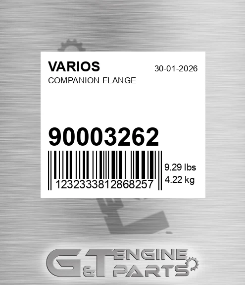 900.03262 Companion Flange for VARIOS