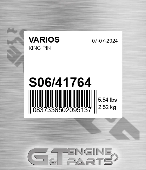S06/41764 King Pin for VARIOS