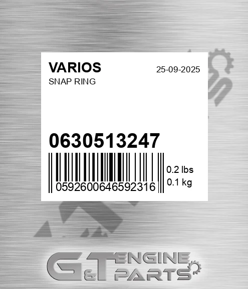 0630513247 Snap Ring for VARIOS