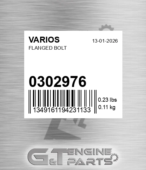 030.2976 Flanged Bolt for VARIOS