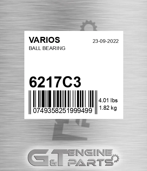6217.C3 Ball Bearing for VARIOS