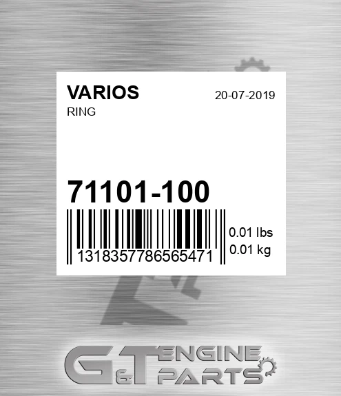 71101-100 Ring