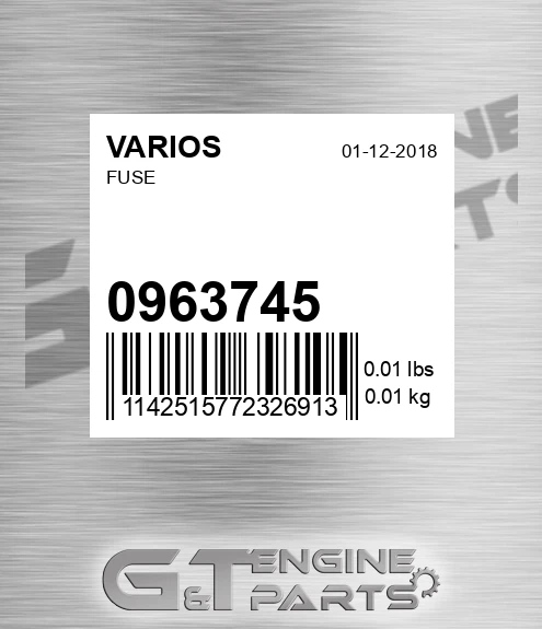 096.3745 Fuse