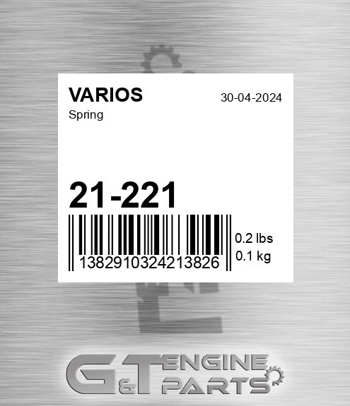 21-221 Spring