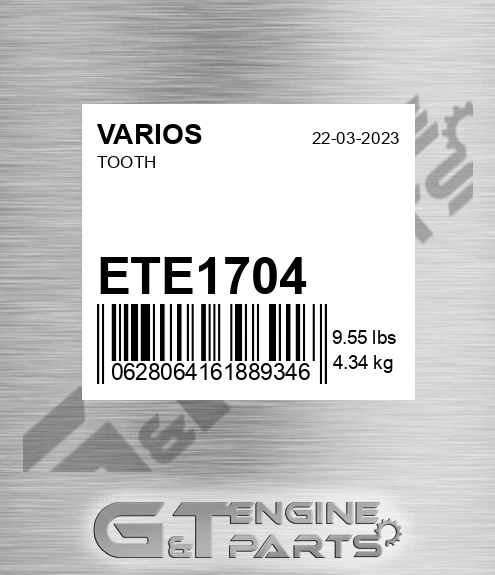 ETE-1704 Tooth for VARIOS