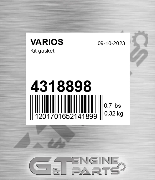 4318898 Kit-gasket