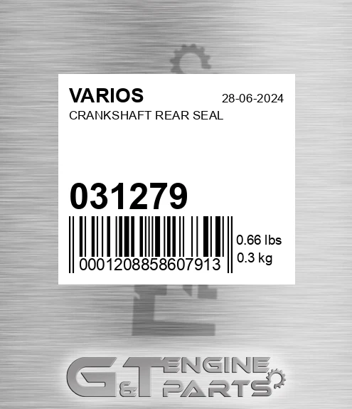 031.279 Crankshaft Rear Seal for VARIOS