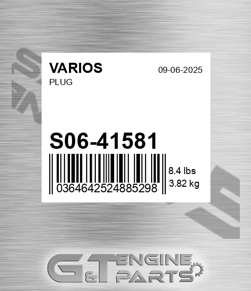 S06/41581 Plug