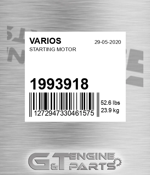 1993918+ Starting Motor