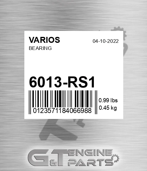 6013-RS1 Bearing