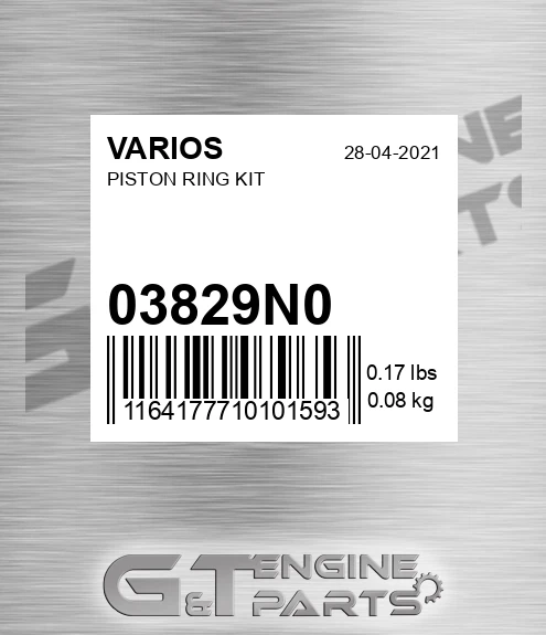 03829N0 Piston Ring Kit