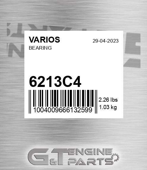 6213C4 Bearing
