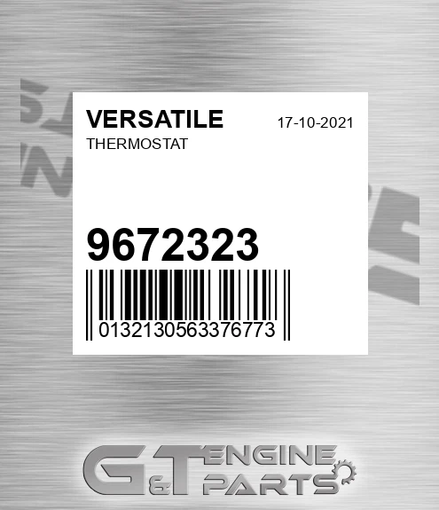 9672323 Thermostat