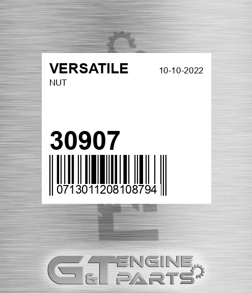 30907 VERSATILE Nut