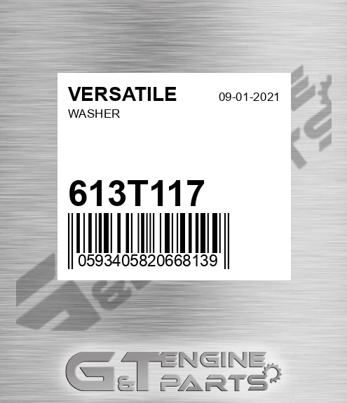 613T117 VERSATILE Washer