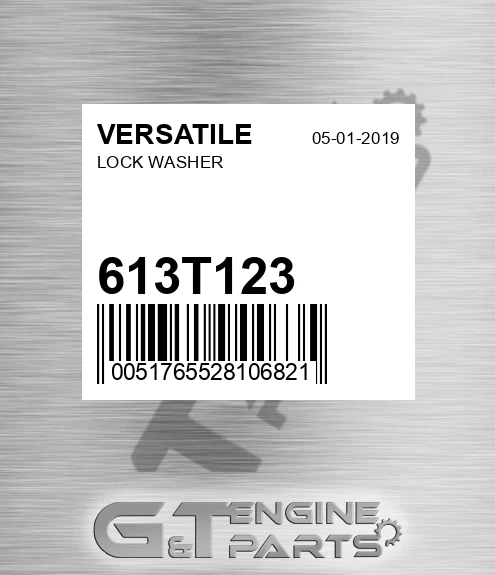 613T123 VERSATILE Lock Washer