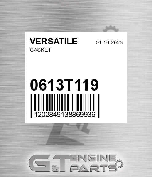 0613T119 Gasket