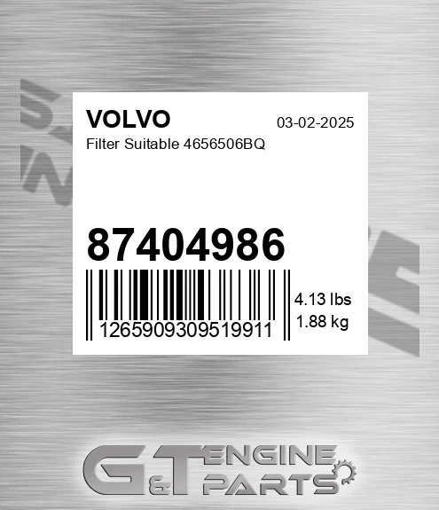 87404986 Filter Suitable 4656506bq