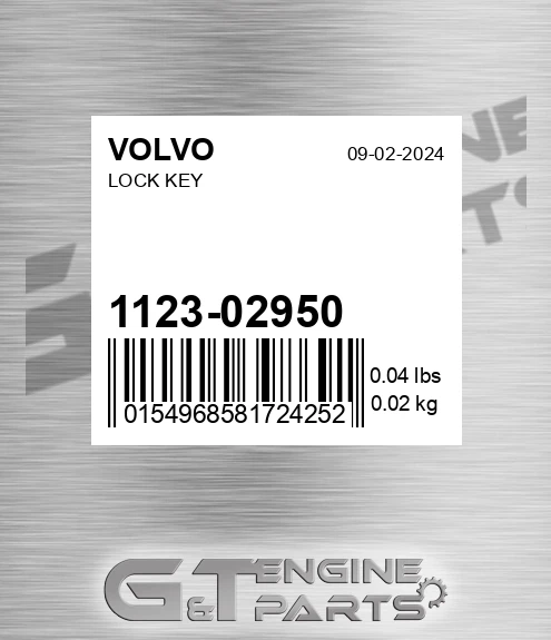 1123-02950 Lock Key