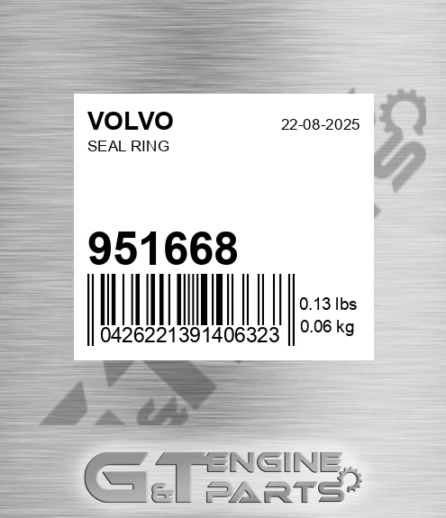 951668 Seal Ring