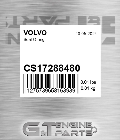 CS17288480 Seal O-ring