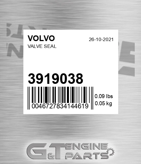 3919038 Valve Seal