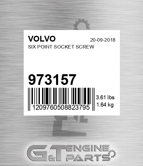 973157 VOLVO Six Point Socket Screw
