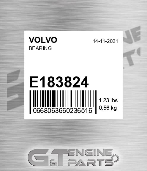 E183824 Bearing
