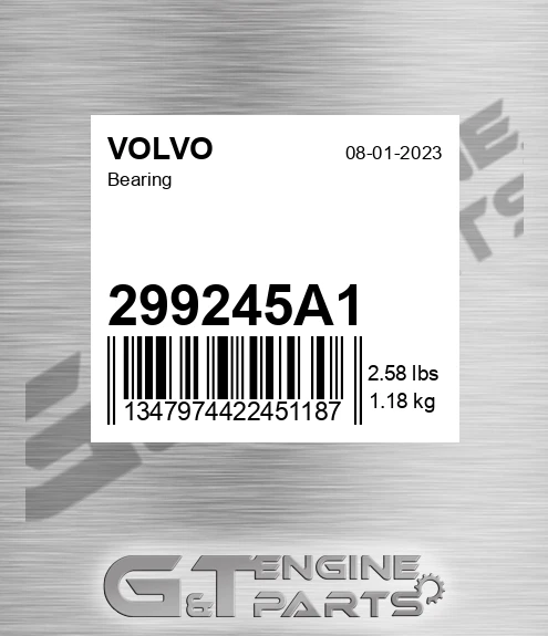 299245A1 Bearing