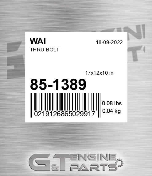 85-1389 Thru Bolt