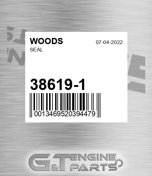 38619-1 Seal