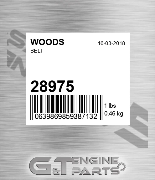 28975 Belt