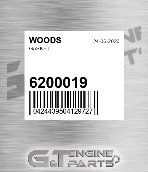 6200019 Gasket