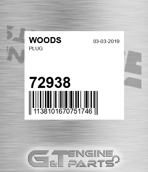 72938 Plug for WOODS