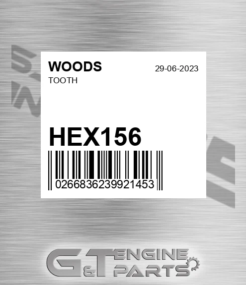 HEX156 Tooth
