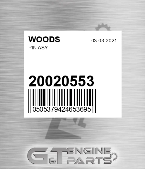 20020553 Pin Asy