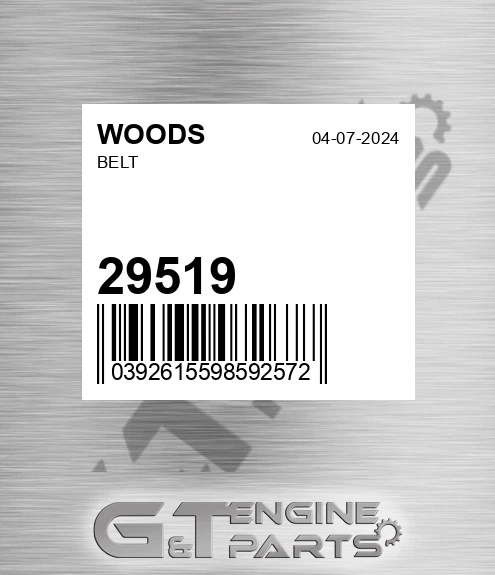 29519 Belt for WOODS