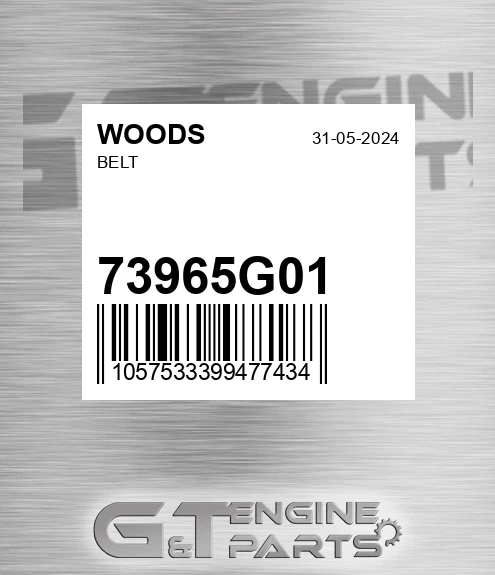 73965G01 WOODS Belt