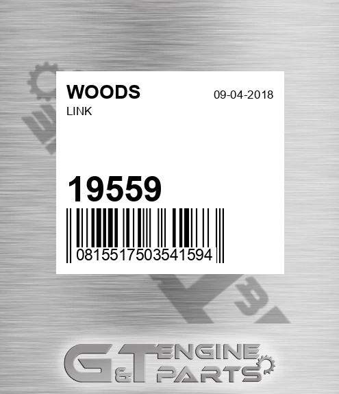 19559 WOODS Link