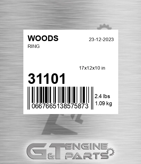 31101 Ring