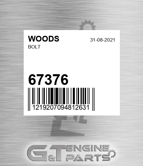67376 Bolt
