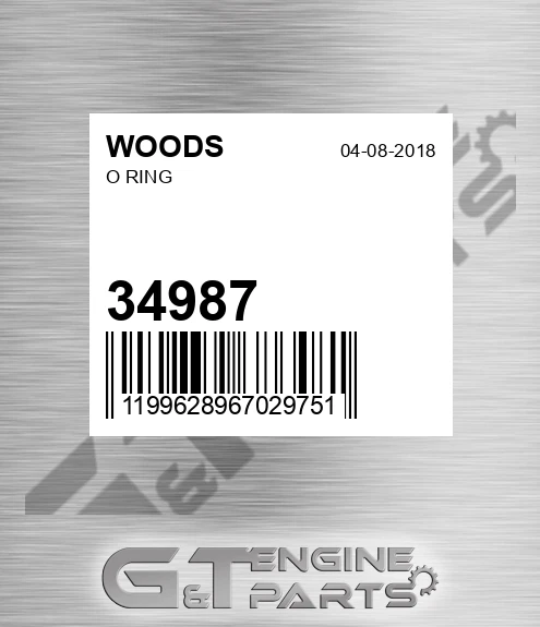 34987 O Ring