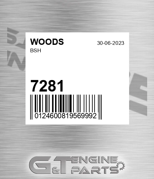 7281 Bsh