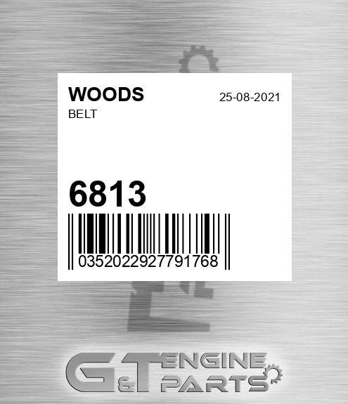 6813 Belt
