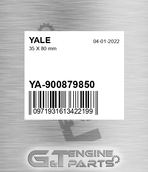 YA-900879850 35 X 80 Mm